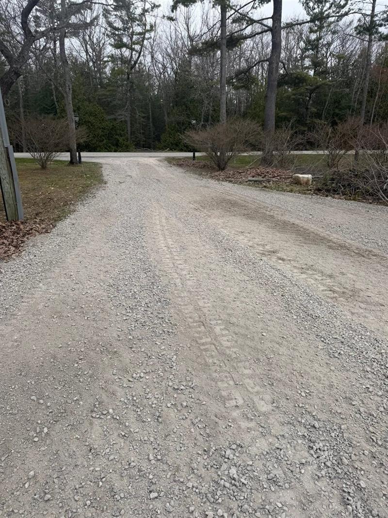 Gravel driveway regraded from the road through the trees